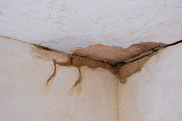 Best Flooded house restoration  in Cornish, ME