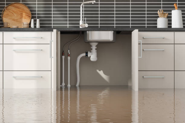 Best Basement water damage restoration  in Cornish, ME